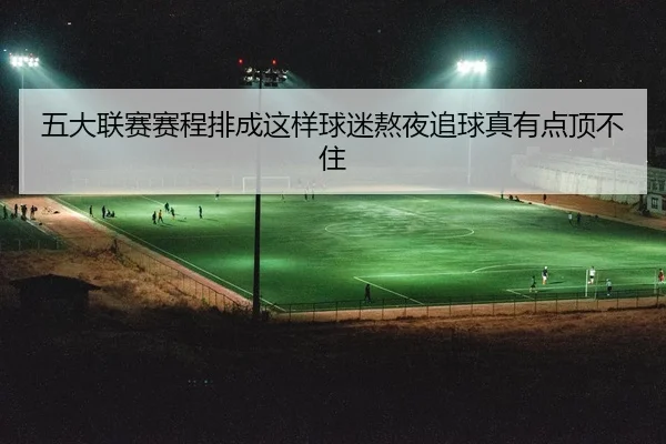 wu-da-lian-sai-sai-cheng-pai-cheng-zhe-yang-qiu-mi-ao-ye-zhui-qiu-zhen-you-dian-ding-bu-zhu-2-395.jpg