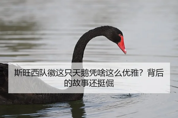 si-wang-xi-dui-hui-zhe-zhi-tian-e-ping-sha-zhe-me-you-ya-bei-hou-de-gu-shi-hai-ting-jue-2-124.jpg