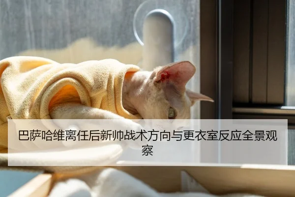 巴萨哈维离任后新帅战术方向与更衣室反应全景观察