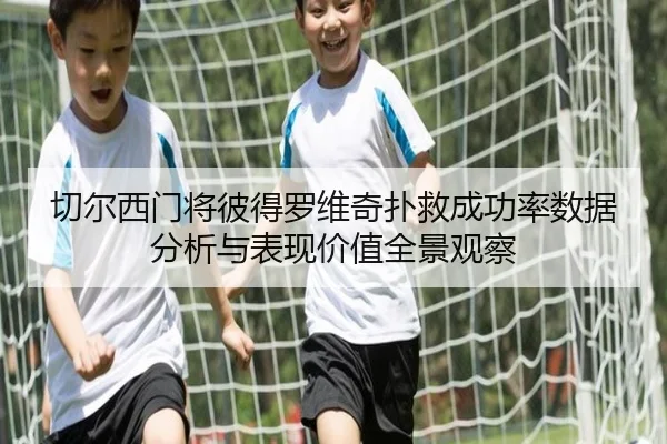 切尔西门将彼得罗维奇扑救成功率数据分析与表现价值全景观察